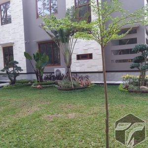 Jasa Pembuatan Taman