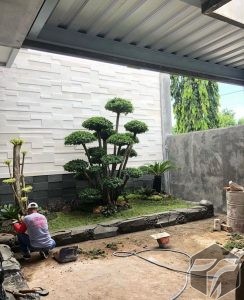 Jasa Pembuatan Taman Murah