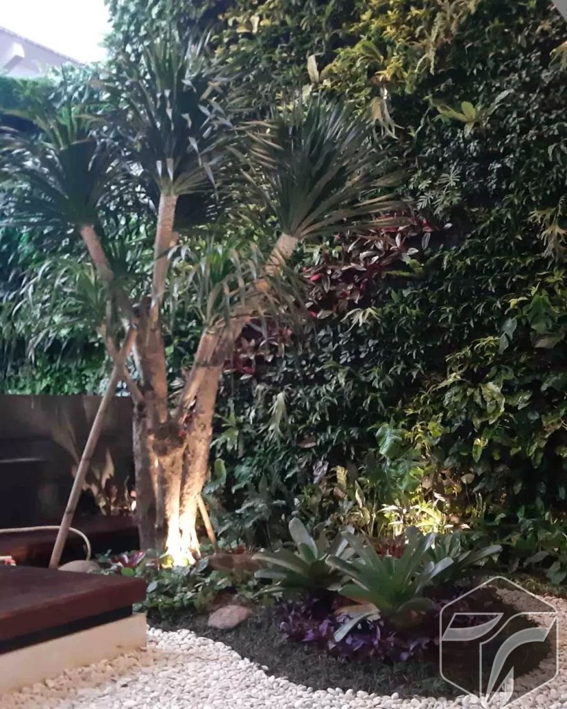 Jasa Taman Vertical garden