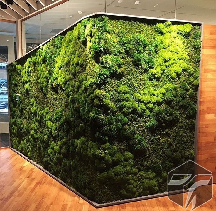 Moss Art Decoration