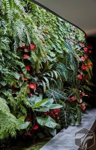 Tukang Taman Vertical Garden