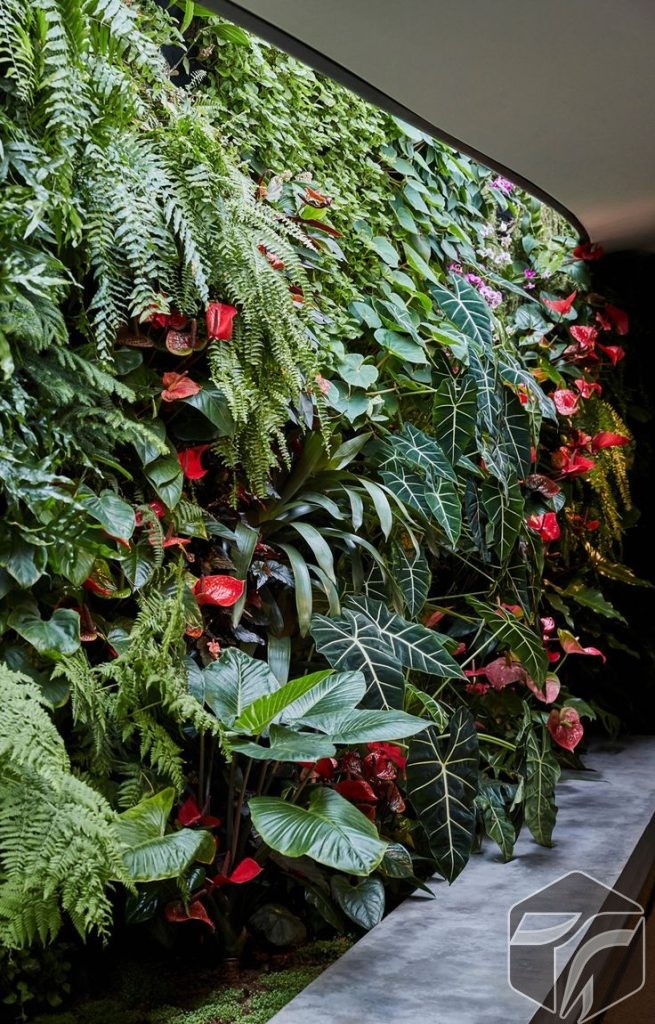 Tukang Taman Vertical Garden