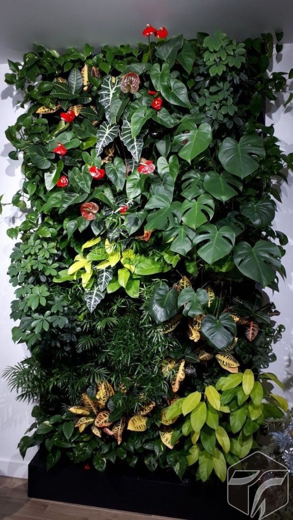Vertical Garden Murah