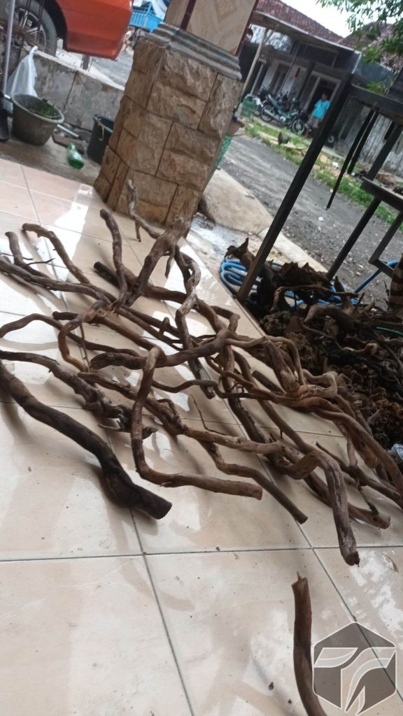 jual kayu satingi