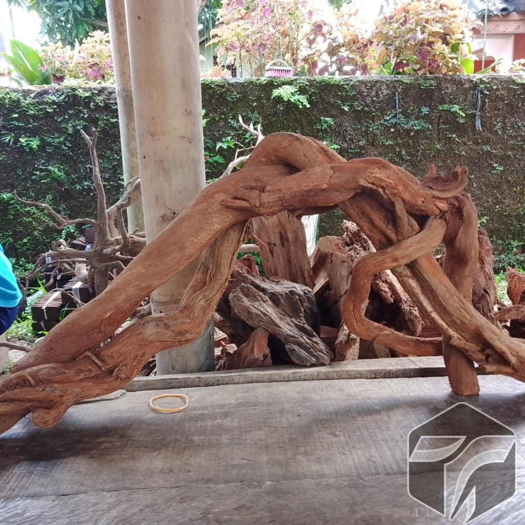 kayu santigi